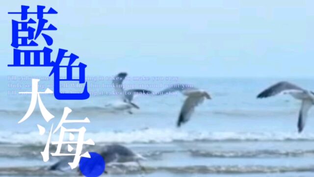 那片海..