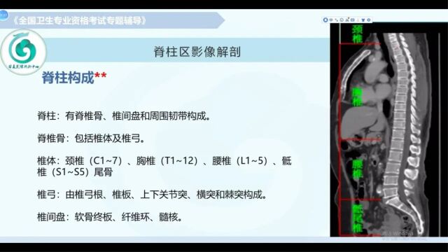 【放射医学(中级)】第七章影像解剖:神经系统(下)1