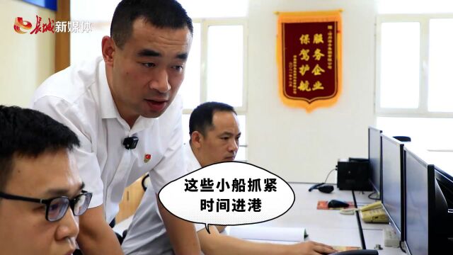 高质量发展调研行丨原来你是这样的黄骅港