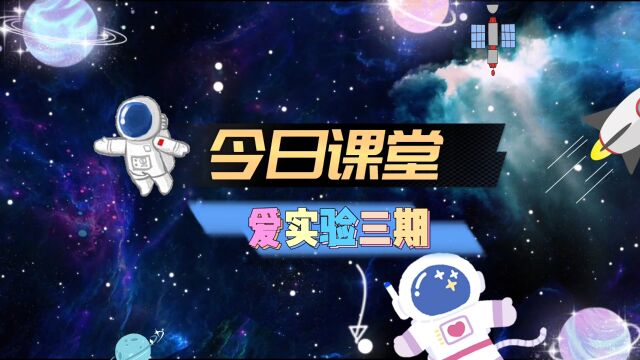 爱实验3期第2课《翱翔的雄鹰》