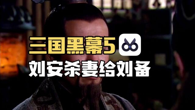 三国黑幕5:刘安杀妻给刘备