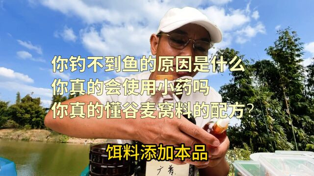 你钓不到鱼的原因是什么?你真的会使用小药吗?你真的懂谷麦窝料的配方?