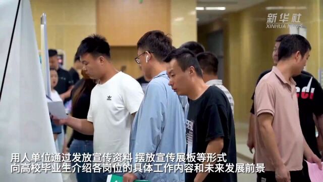 廊坊:多措并举助高校毕业生就业创业