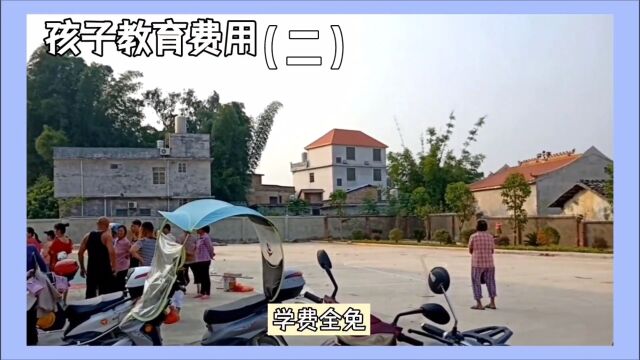 深入探讨教育费用问题:不同地区如何应对