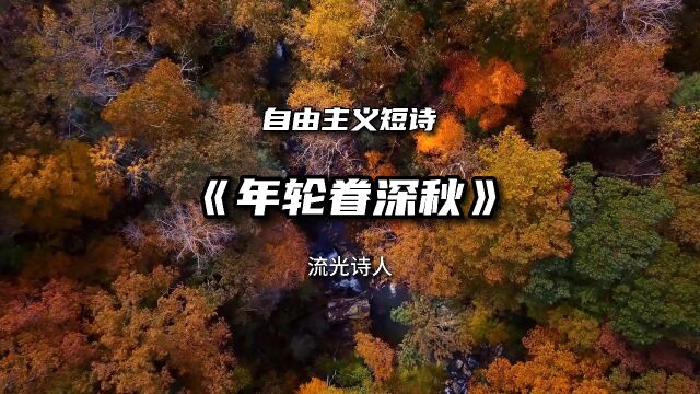 人生感悟短诗《年轮眷深秋》作品欣赏,归途——却总模糊了当时情