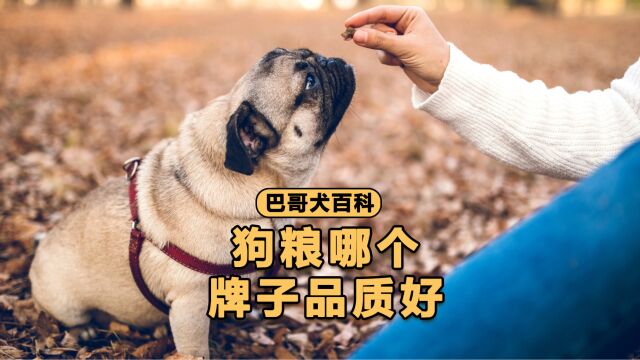 狗粮哪个牌子的品质好?