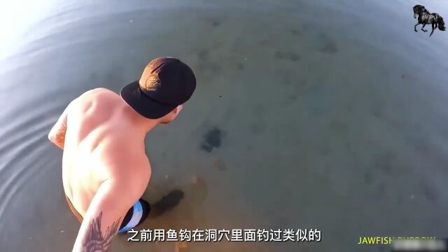 小哥海平原探险,剧毒海鲜到处都是,小哥却拿致命章鱼互动