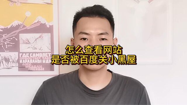 怎么查看网站是否被百度关小黑屋