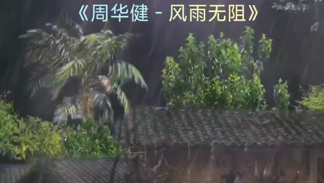 经典歌曲~风雨无阻