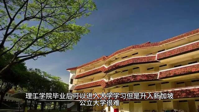 收藏:资深文案带你一篇文章了解新加坡教育制度