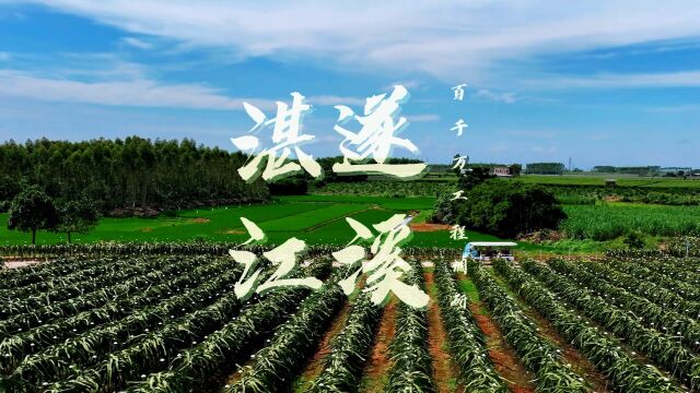 百千万工程看遂溪:三农电商蓄势聚能,激活乡村“新动能”