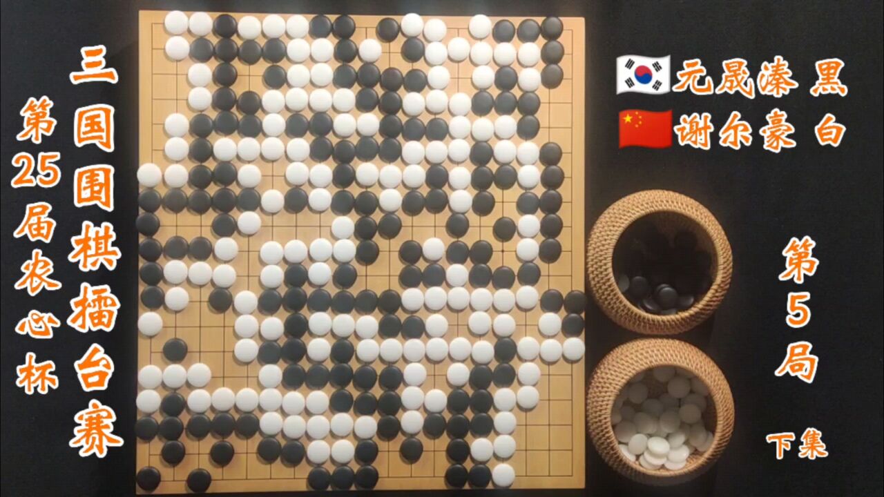 第25届农心杯三国围棋擂台赛第5局谢尔豪vs元晟溱下集