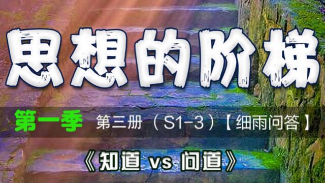 超感知 立体蜂窝结构 三层感官 破相 祸与福