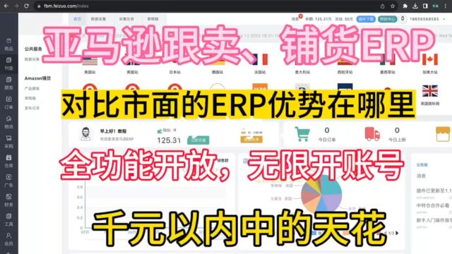 亚马逊跟卖铺货ERP全功能开发,账号无限开,千元以内中的天花板