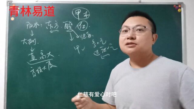 青林易道:甲木代表的内容的理解技巧分享