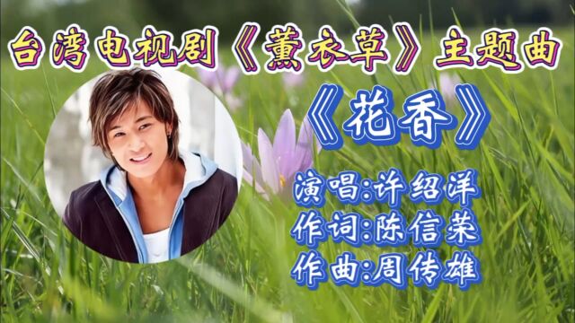 重温2001年台湾电视剧《薰衣草》主题曲《花香》许绍洋主演演唱