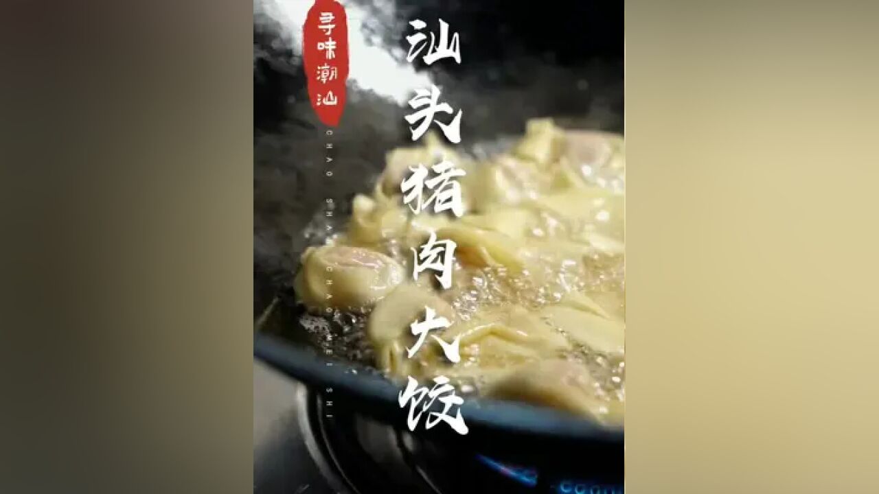 汕头乌桥老味道,大大粒猪肉饺#潮汕美食 #带着512G的胃来汕头 #潮汕鱼粥的做法