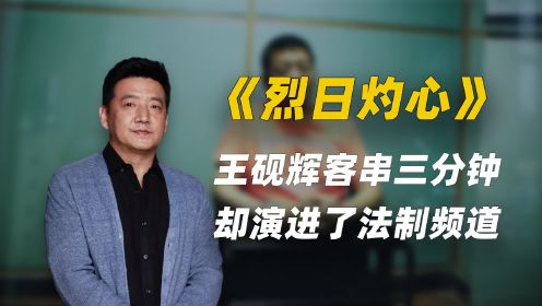 王砚辉客串《烈日灼心》，却把自己演进了法制频道！