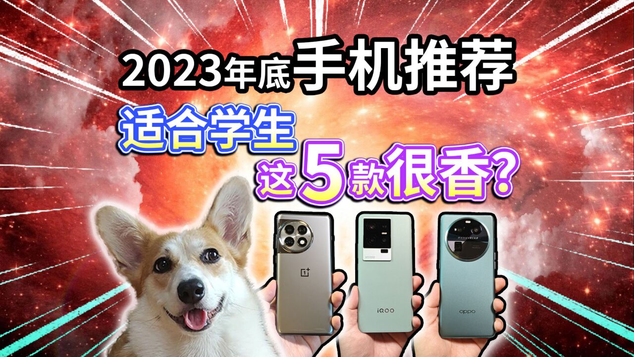 【2023年底手机推荐】性价比高!这5款适合学生很香?