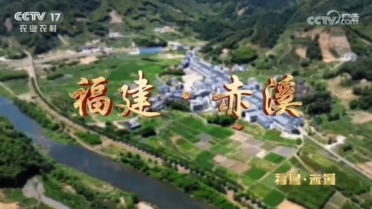 看“中国扶贫第一村”赤溪村的美丽嬗变 CCTV17公益展播