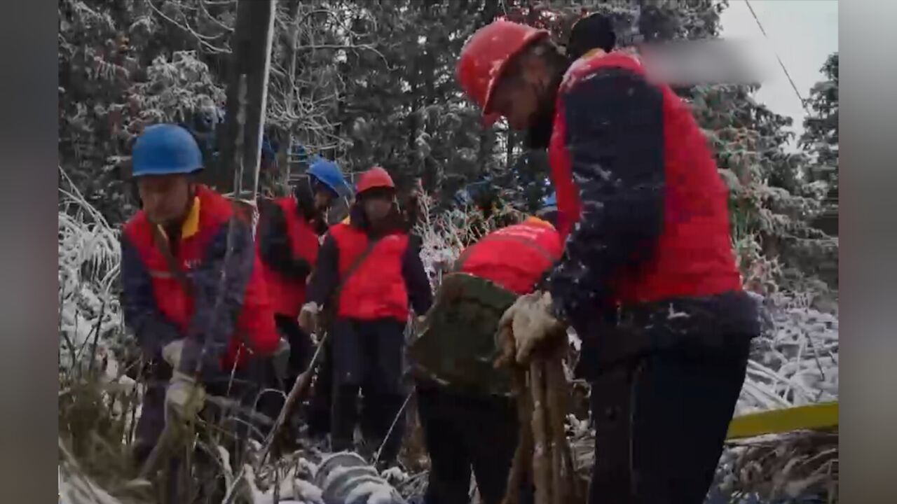 重庆:高海拔山区开展电力巡检,守护万家灯火