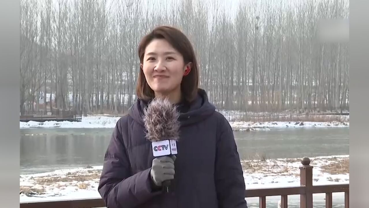 辽宁北票,红村天鹅湾:大天鹅的生态家园