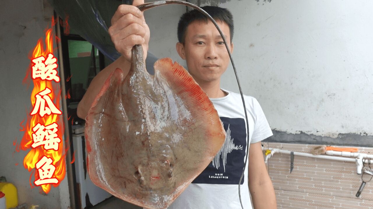 阿壮搞来一条深海大鳐鱼,做本地特色菜酸瓜鳐鱼,下饭又下酒