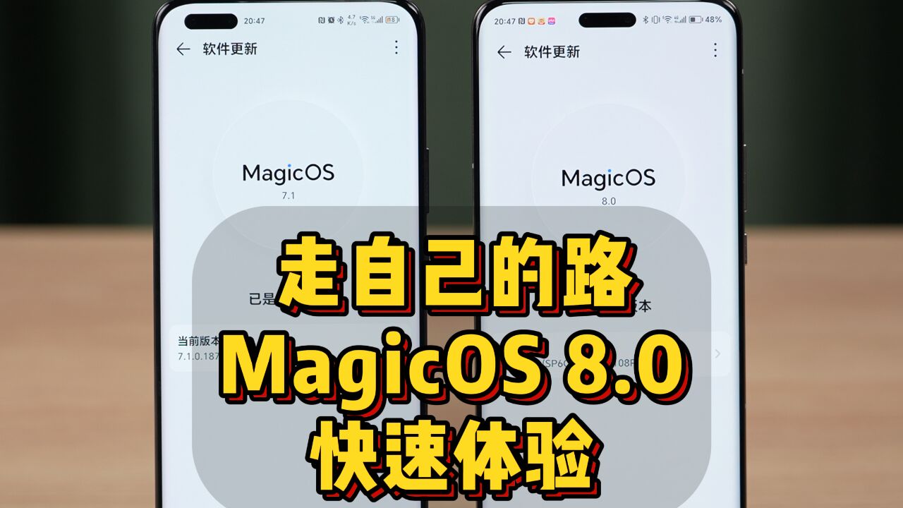 走自己的路,荣耀MagicOS 8.0快速体验