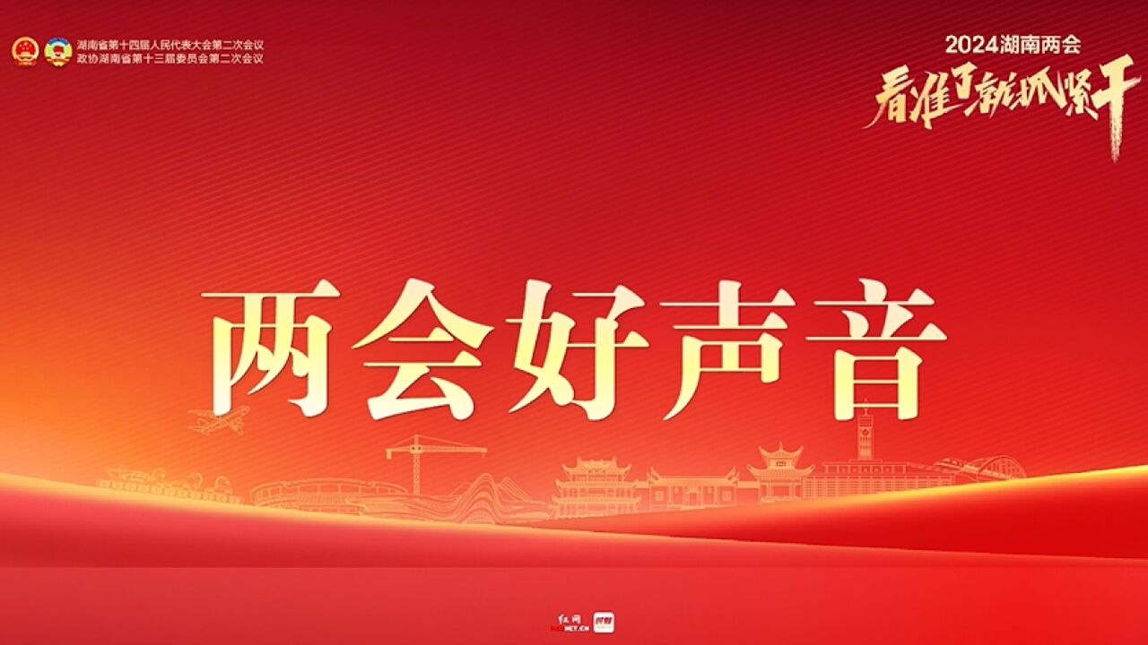 两会好声音丨谢小鹏:以数促实 筑牢湖南数字经济通信“底座”