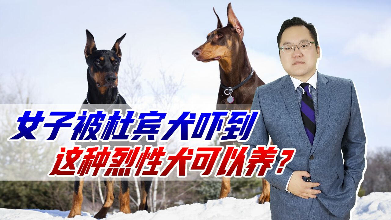 女子被杜宾犬吓到,狗主人口出狂言,这种烈性犬难道可以饲养?