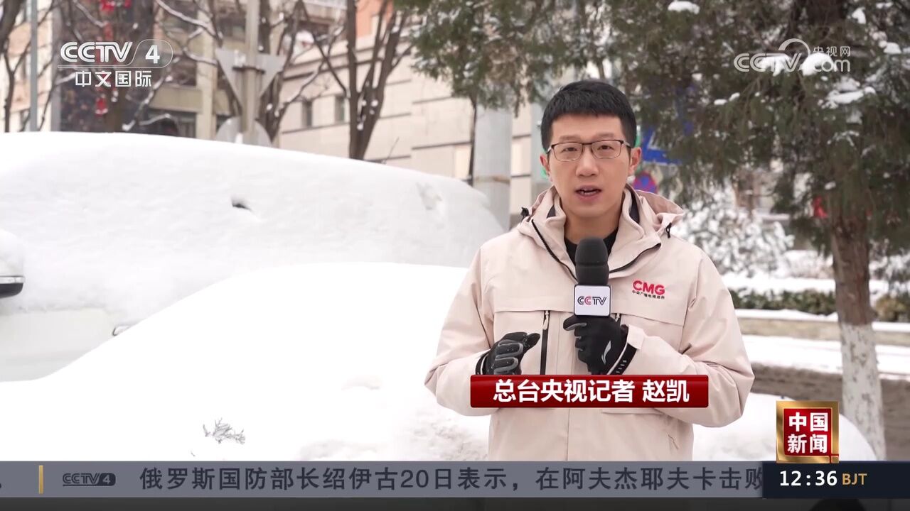 北京迎来龙年初雪