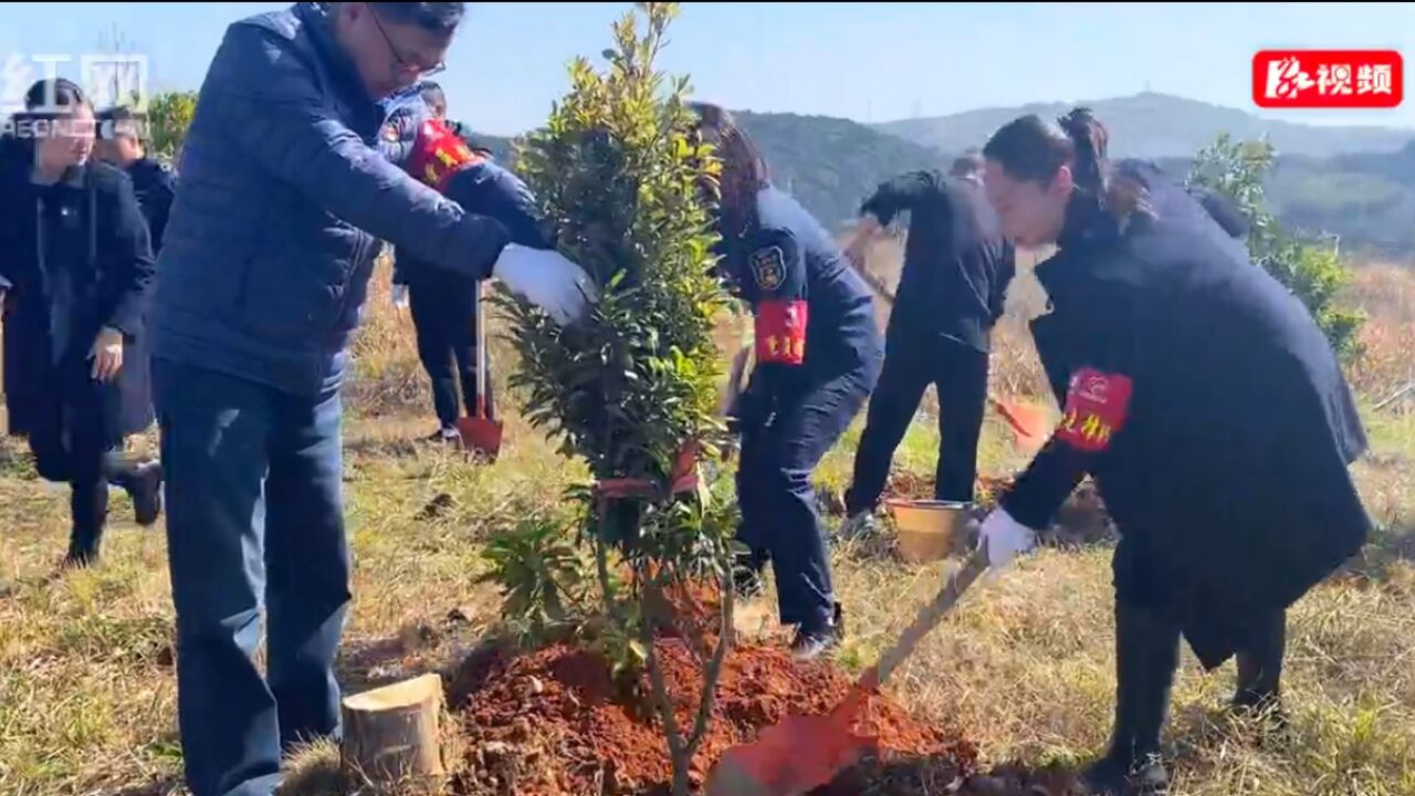 郴州高速:党建聚力添“新绿” 警路联建护“畅安”