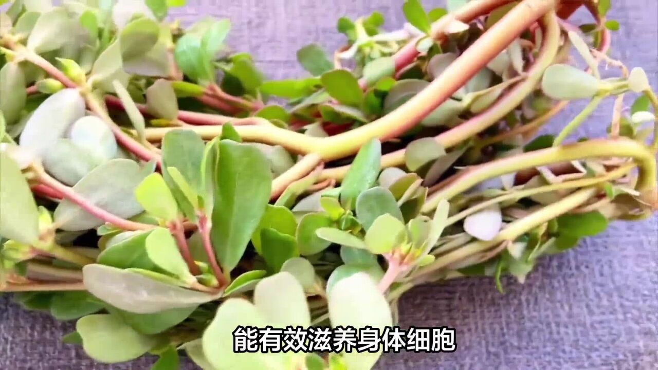 这6种天然“长寿菜”,家有老人要多吃,保护肝脏促免疫,别不懂吃