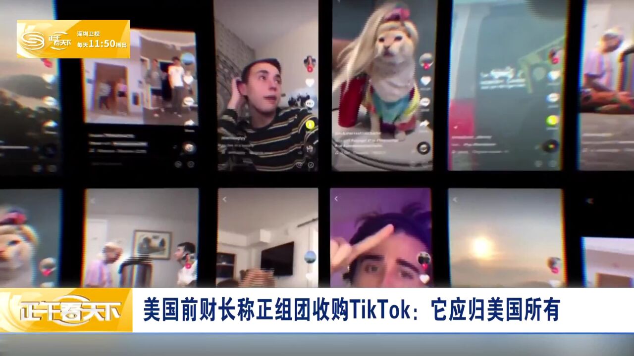 美国前财长称正组团收购TikTok:它应归美国所有