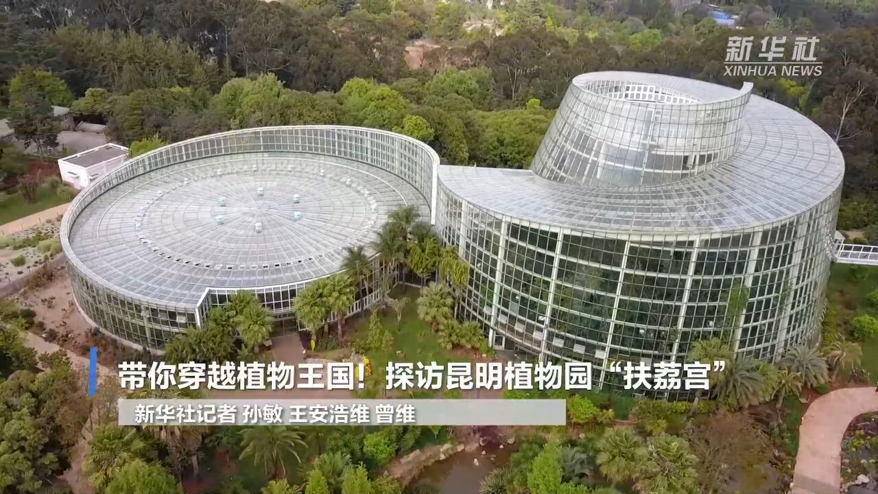 带你穿越植物王国!探访昆明植物园“扶荔宫”