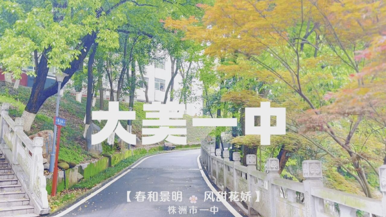 视频丨株洲市一中:春和景明 风甜花娇