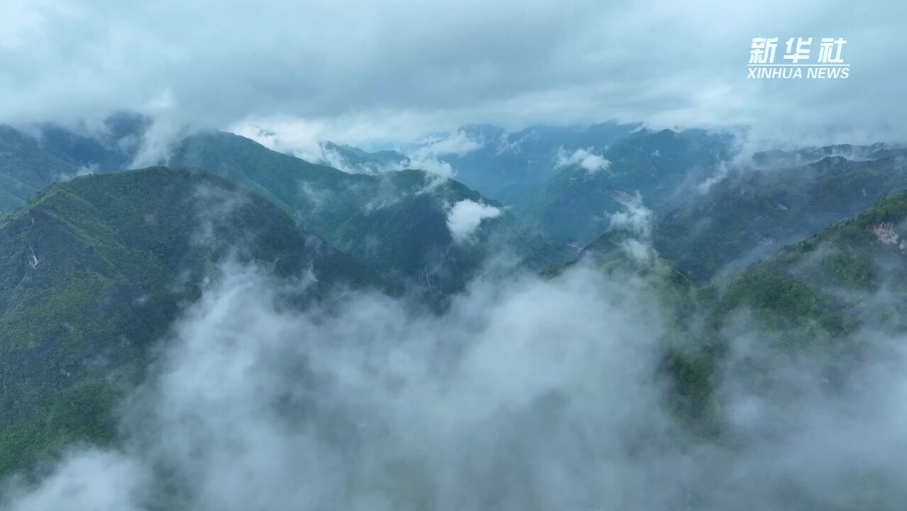 四川巴中:抬运700斤变压器上山 为深山农场电力增容