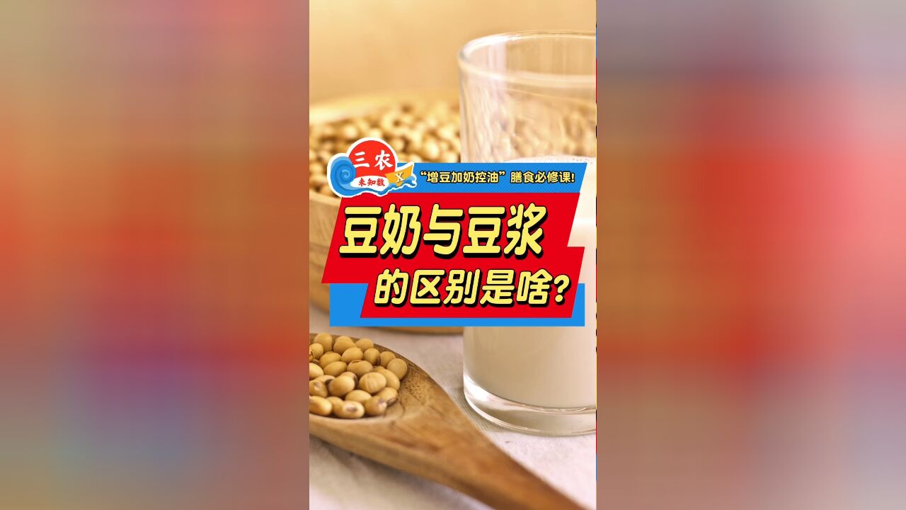 豆奶与豆浆的区别是啥?