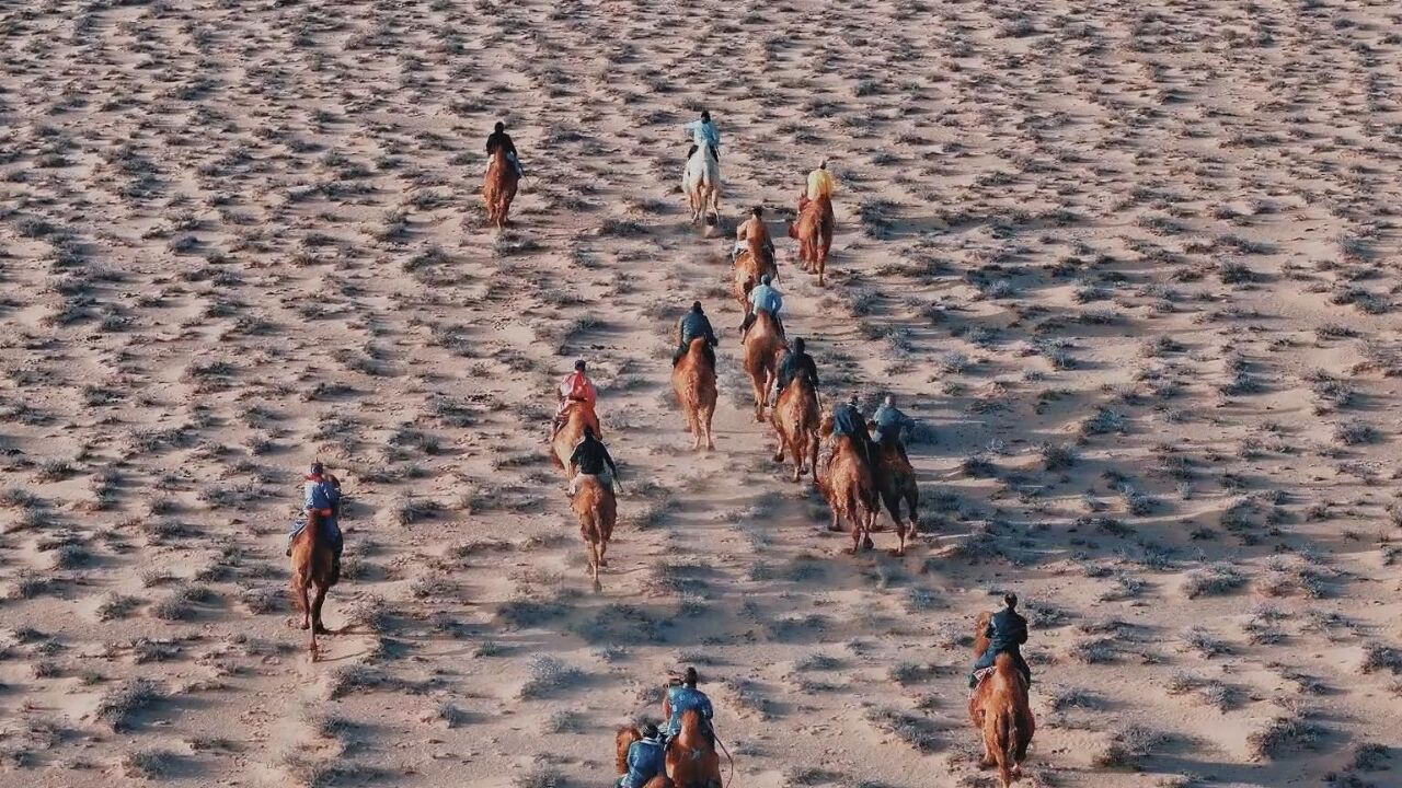 千城胜景|璀璨非遗 蒙古族赛驼