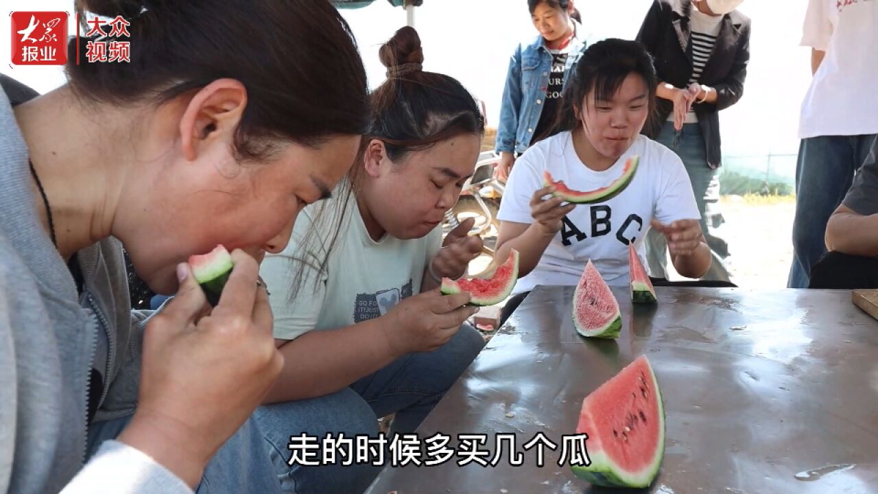 巨野:党支部领办合作社 小西瓜结出甜蜜“钱”景