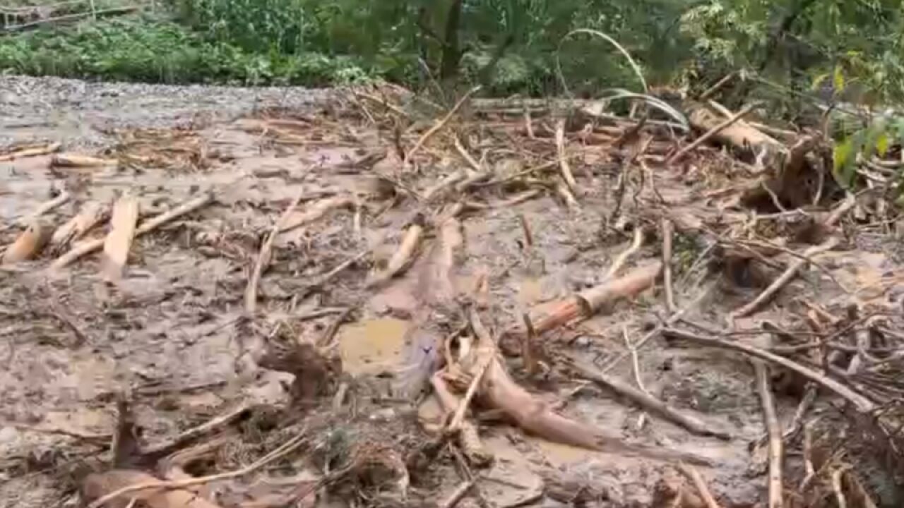 连续强降雨致浙江淳安旗山1村民失联 正在搜救中