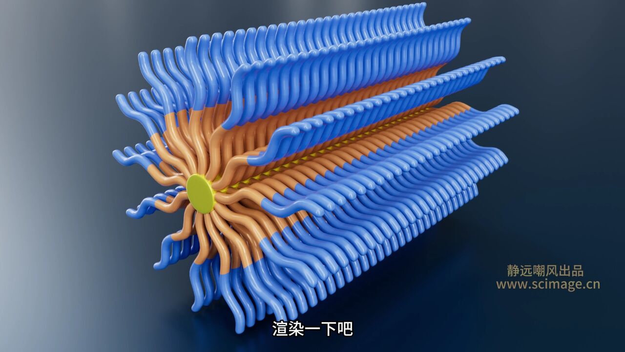 【SCI科研制图教程】如何用maya软件做两种不同高分子链段构成的纳米棒(Maya软件)