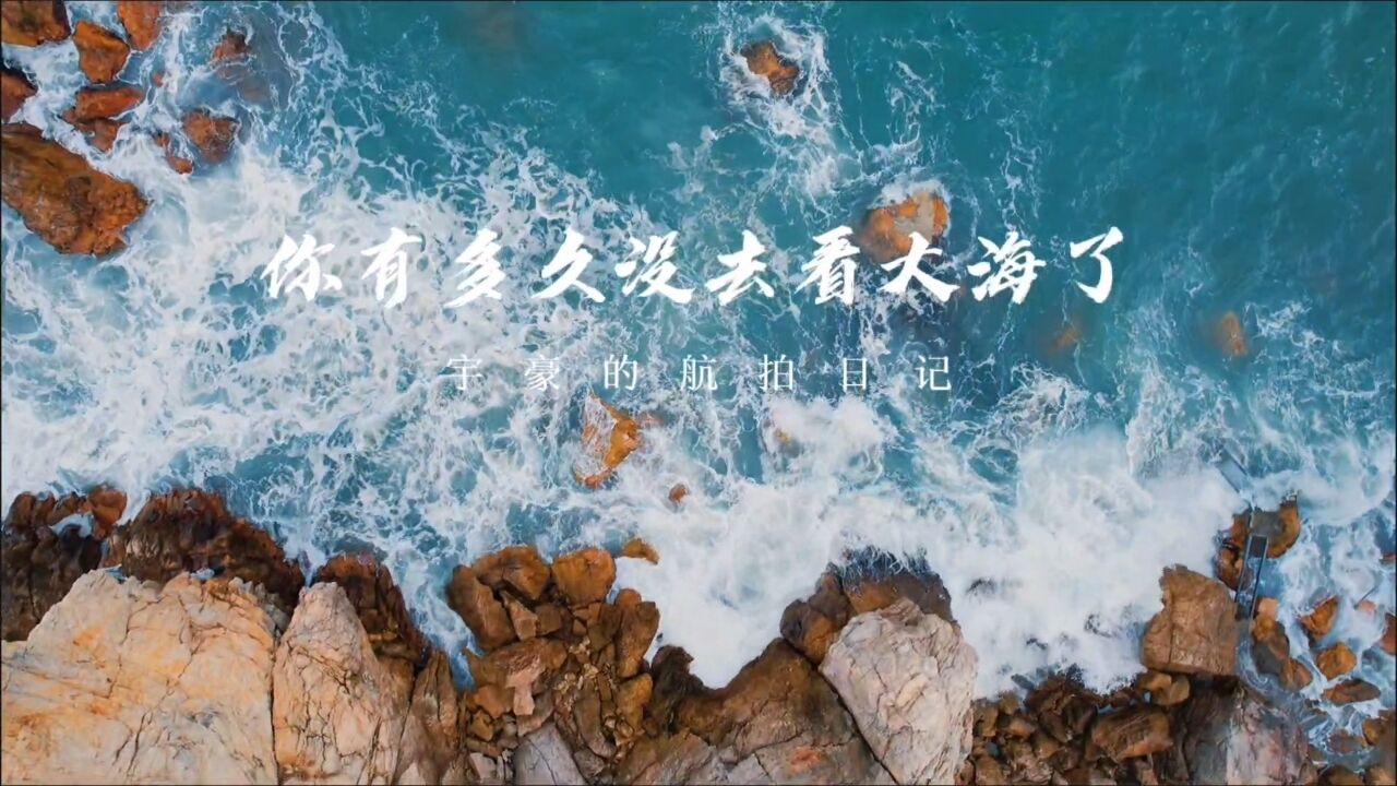 等下一个夏天,一起去看海,把头扎进海里染成大海的颜色