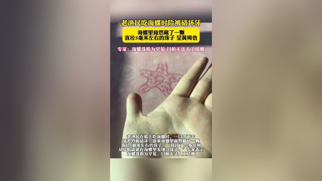 吃海螺时险被硌坏牙,老渔民吃出罕见海螺珠