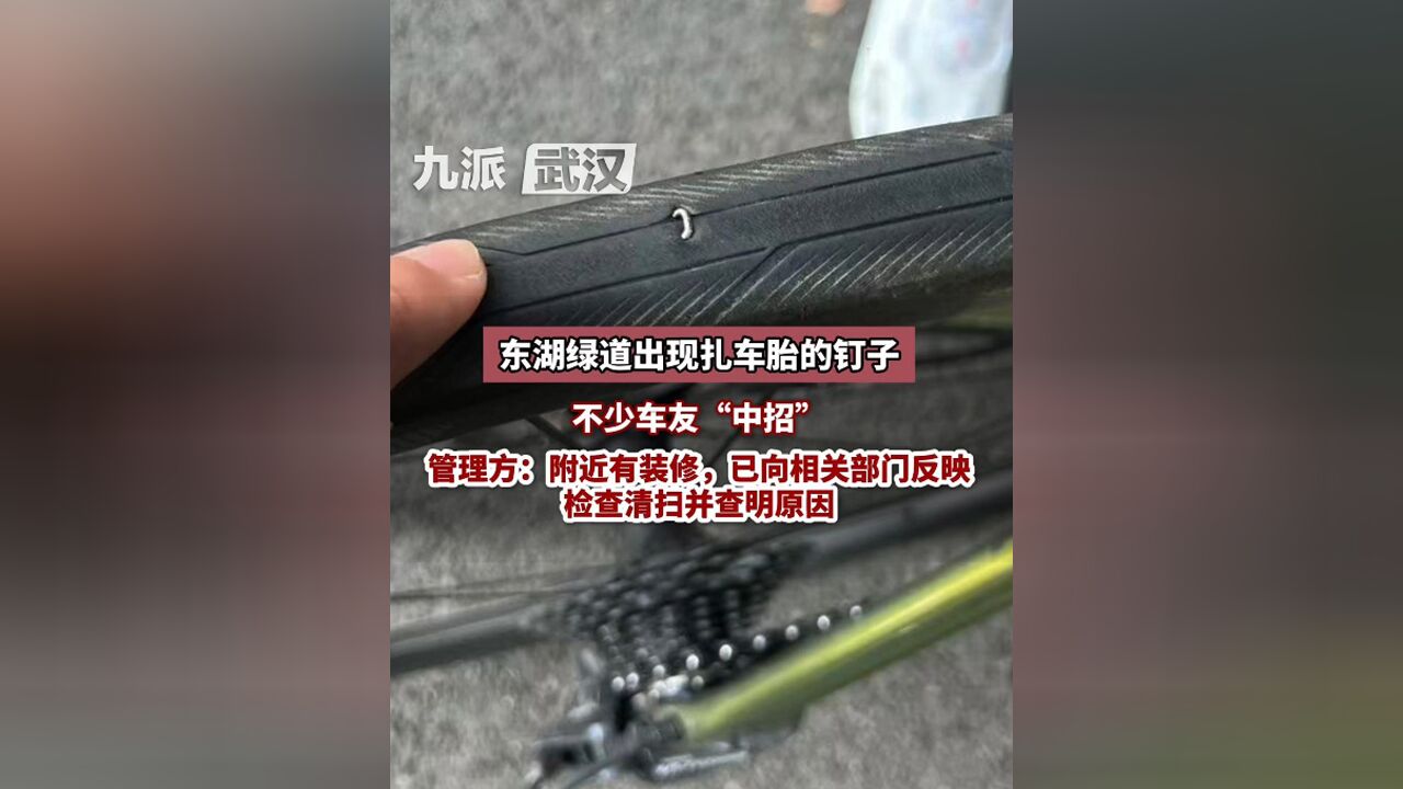 东湖绿道出现扎车胎的钉子,不少车友“中招”,管理方:附近有装修已向相关部门反映