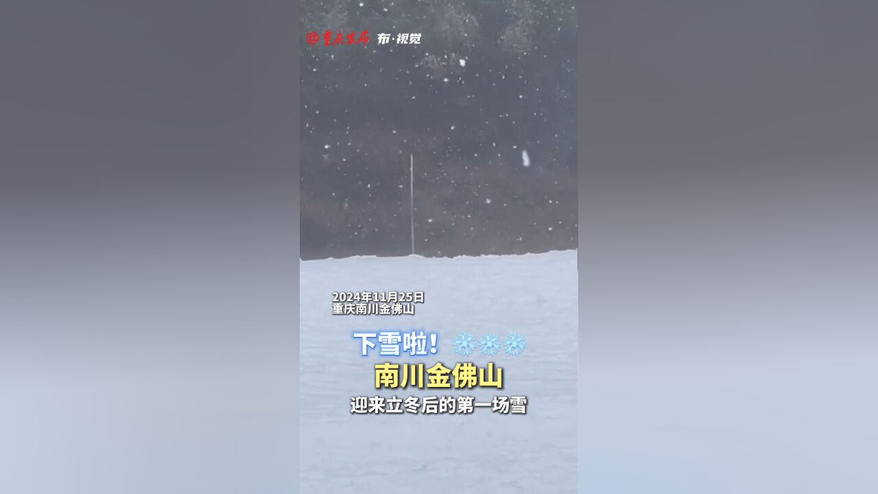 11月25日,下雪啦!南川金佛山迎来立冬后的第一场雪