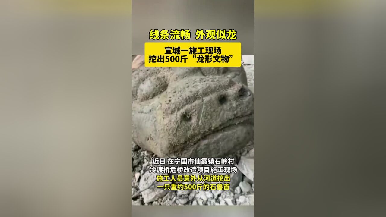 宣城一施工现场挖出500斤“龙形文物”