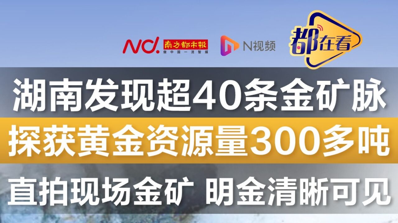 湖南发现超40条金矿脉!直拍现场金矿,明金清晰可见