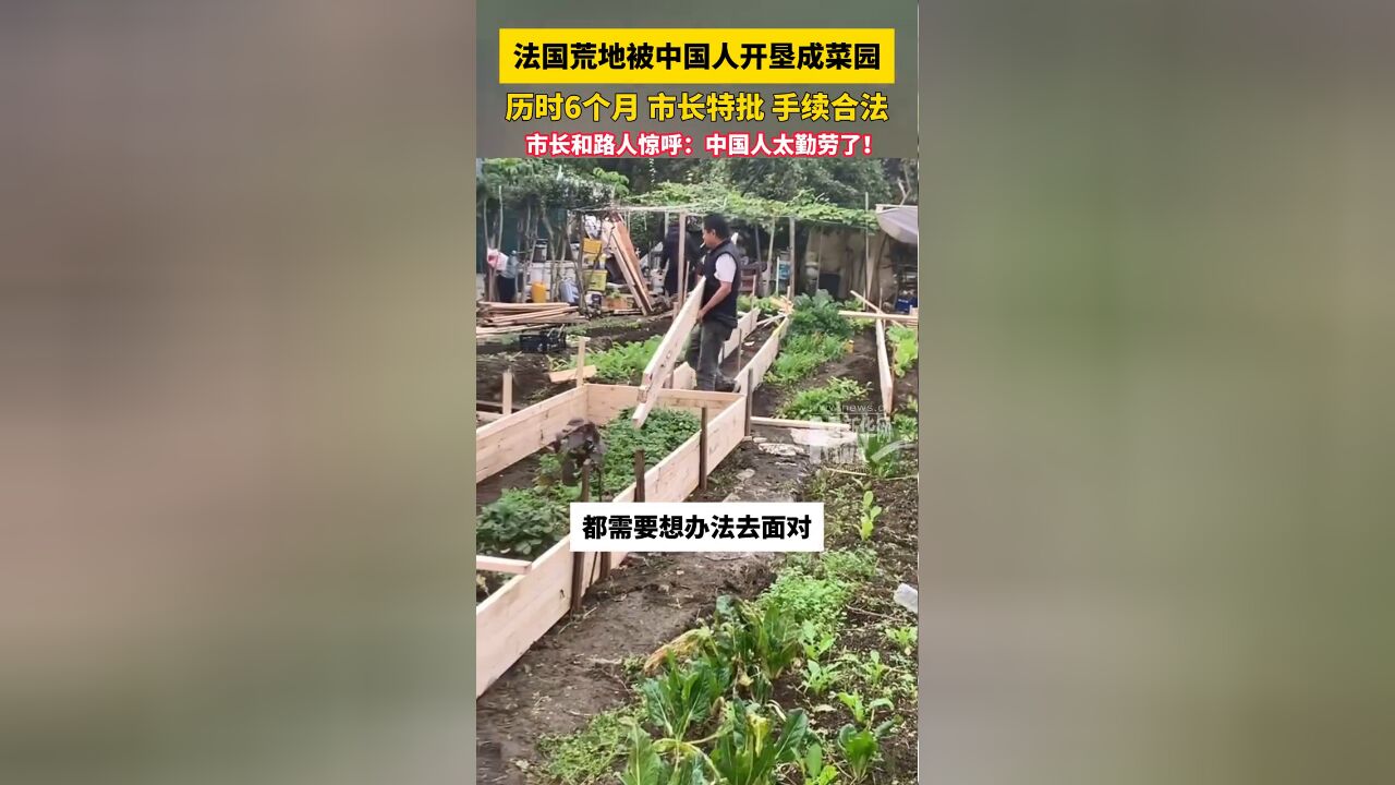 法国人懒得管的荒地,被勤劳的中国人改成了菜园子