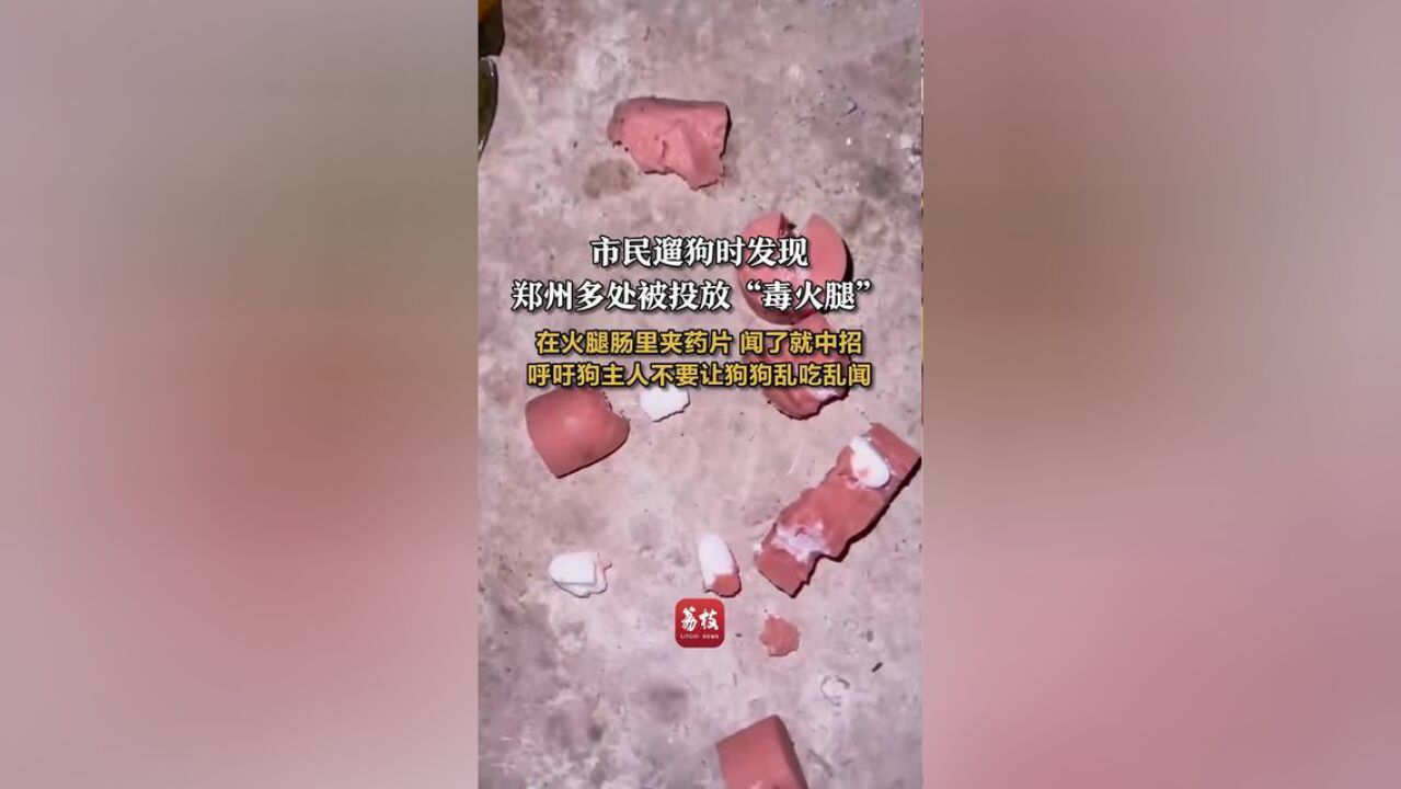 警惕!市民遛狗时发现“毒火腿”,:在火腿肠里夹药片,闻了就中招,呼吁狗主人不要让狗狗乱吃乱闻